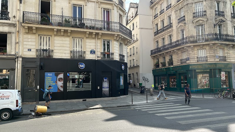 Blue Corner Institut
